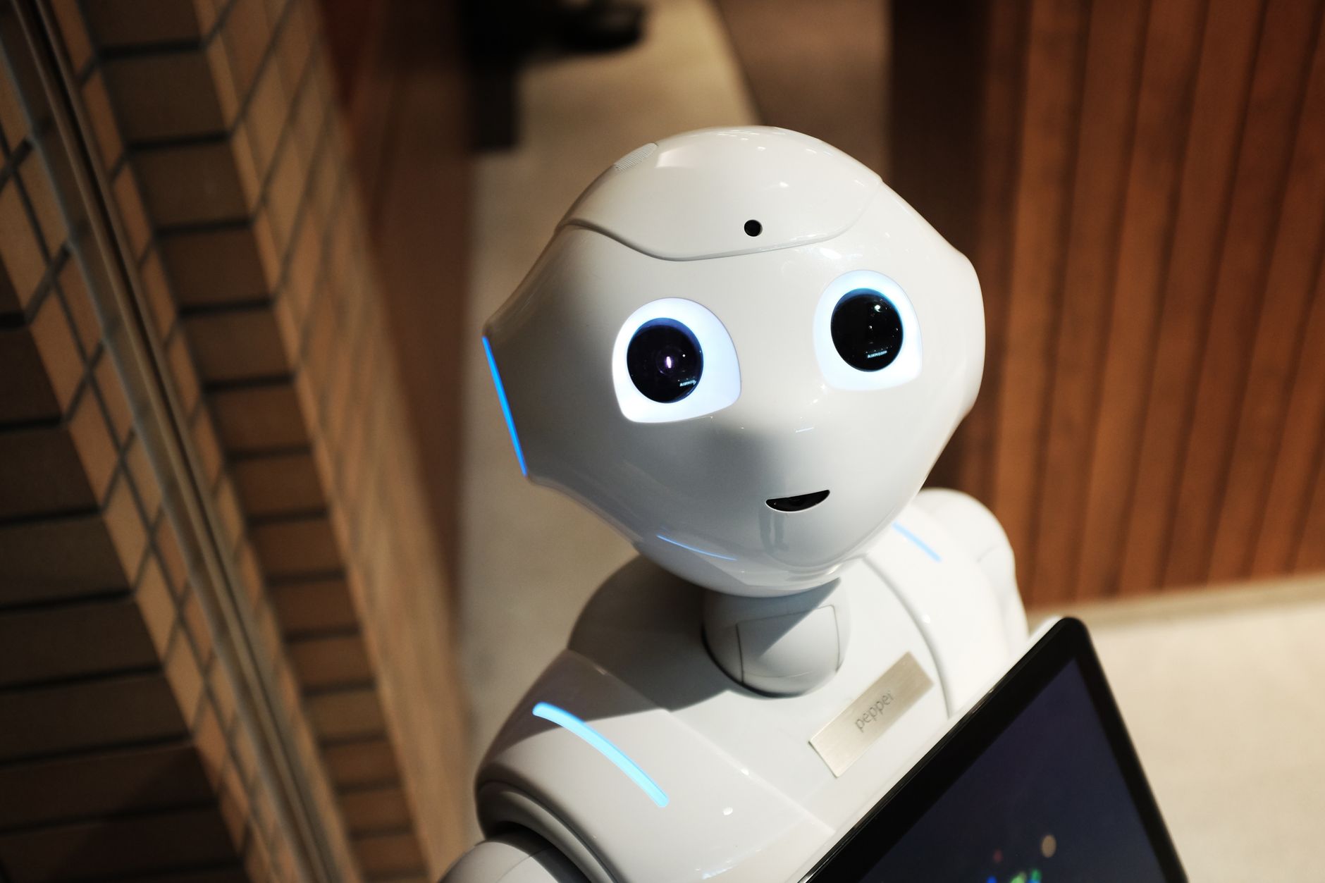 AI risks debate